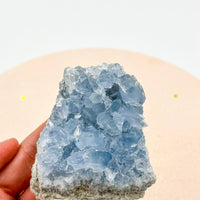 Celestina Cluster Mini | Spirituality - Meditation