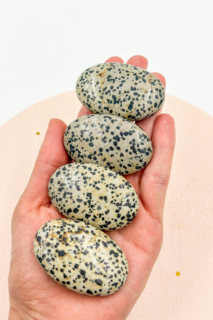 Dalmatian Jasper Palmstone | Balance and Goals 