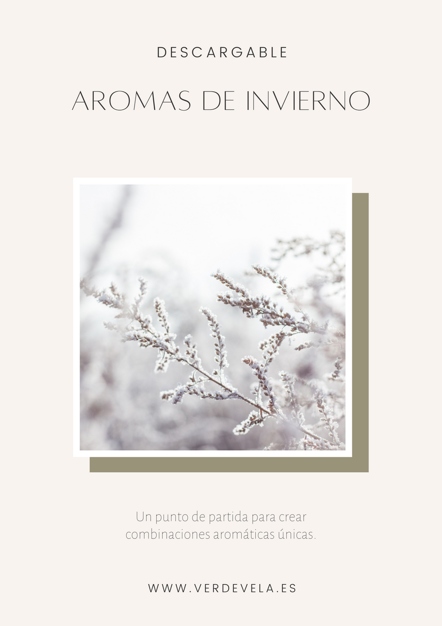 Combinaciones aromáticas - Invierno | VOL.1