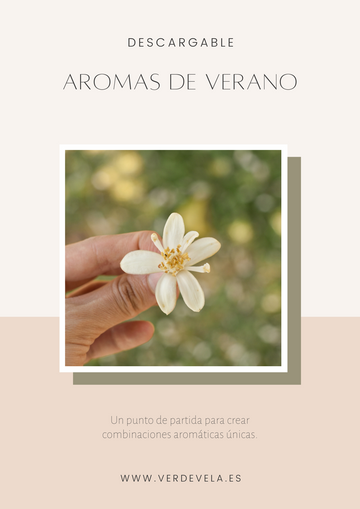 Combinaciones aromáticas - Verano | VOL.1