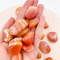 Apricot Agate Tumble | Balance - Relationships