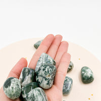 Moss Agate Tumble | Optimism - Balance 