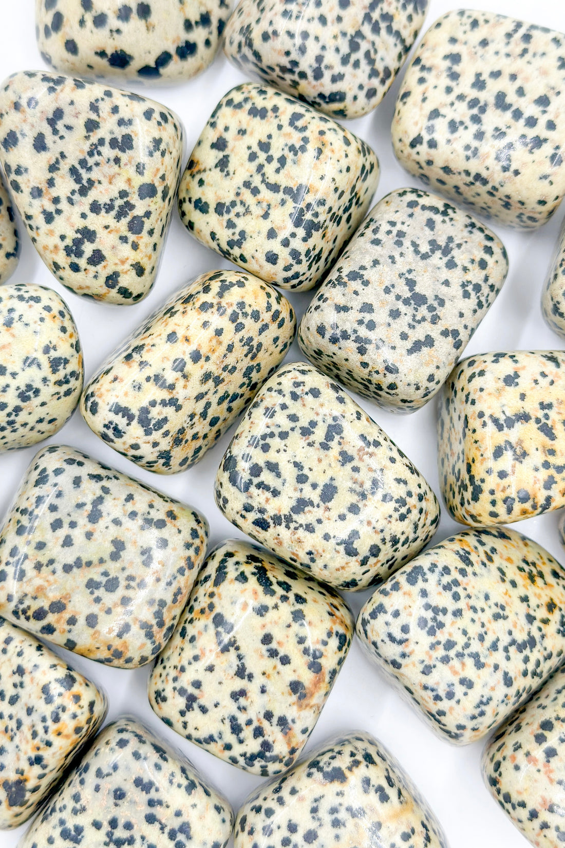 Dalmatian Jasper Tumble | Balance and Goals.