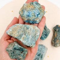 Apatite Raw | Inspiration - Manifestation